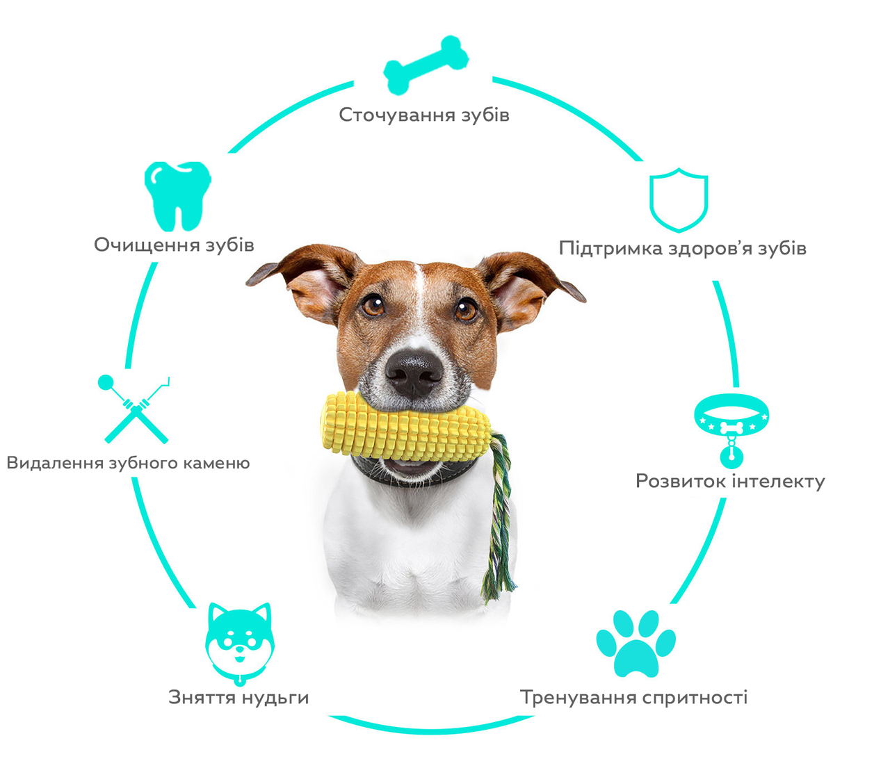 Іграшка для собак "Кукурудза" з пищалкою та мотузкою CNN-101 жовтий, Gp, фото 1