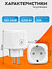 Розумна WiFi розетка 20А з лічильником електроенергії Tuya Smart 4400Вт White, Gp, фото 4
