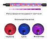 Світлодіодна фітолампа для кімнатних рослин з таймером подвійна GreenLand 20W + мережа 220В, Gp, фото 5