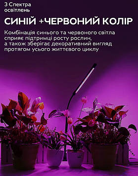 Світлодіодна фітолампа для кімнатних рослин з таймером управління GreenLand 10W USB + мережа 220В, Gp