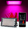 Світлодіодний фітопрожектор для рослин/теплиць GL-100W 96 LED від мережі 220В, Gp, фото 2