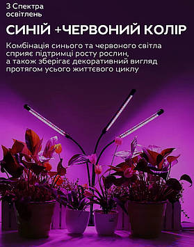 Світлодіодна фітолампа для кімнатних рослин з таймером потрійна GreenLand 30W USB + мережа 220В, Gp