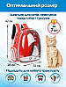 Прозорий рюкзак для перенесення тварин Pet Cat для котів та собак Red, Gp, фото 3