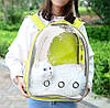 Прозорий рюкзак для перенесення тварин Pet Cat для котів та собак Yellow, Gp, фото 6