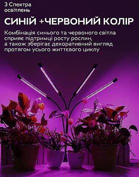 Світлодіодна фітолампа для кімнатних рослин з таймером (4 лампи) GreenLand 40W USB + мережі 220В, Gp