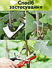 Садовий тапенер для підв'язування рослин Tapetool / Обв'язувальна машина + 10000 штук скоб + 10 стрічок, Gp, фото 5