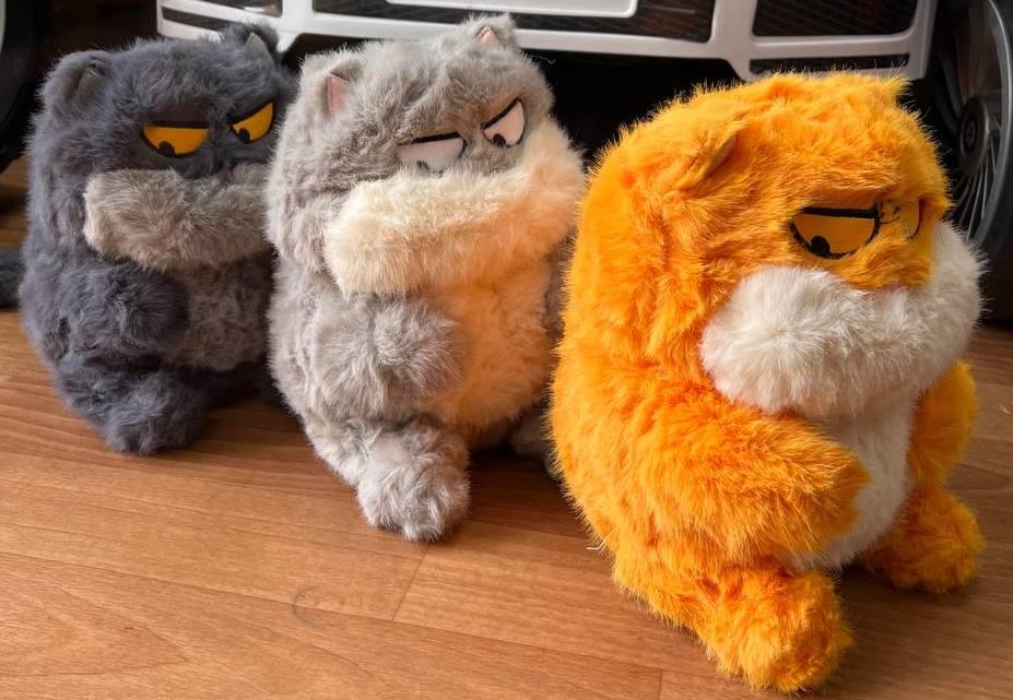 М'яка іграшка "Кіт Буки" 23см