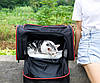 Сумка переноска для котів та собак 78x47x29 см CosmoPet CP-05 (L) Black-Red, Gp, фото 5