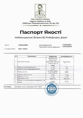 Вітамін B2 Рибофлавін PROFIPROT 100 г, фото 4