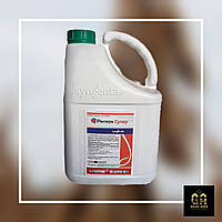 Десикант РЕГЛОН СУПЕР 10 л, Syngenta