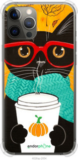 Чохол на iPhone 12 Pro Max Осінній кіт "4026sp-2054-72104", фото 1