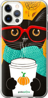 Чохол на iPhone 12 Pro Осінній кіт "4026u-2052-72104", фото 1