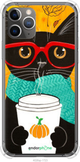 Чохол на iPhone 11 Pro Max Осінній кіт "4026sp-1723-72104", фото 1