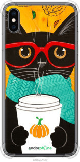 Чехол на iPhone XS Max Осенний кот "4026sp-1557-72104", фото 1