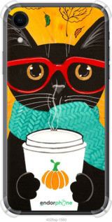 Чохол на iPhone XR Осінній кіт "4026sp-1560-72104", фото 1