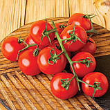 Томат Конорі F1 Kitano seeds 10 нас, фото 3