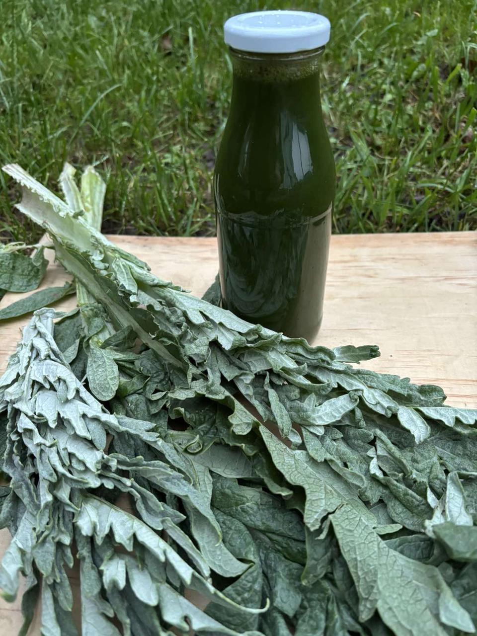 Артишок (сік листа сирий 100%), 0.5 літри, фото 1