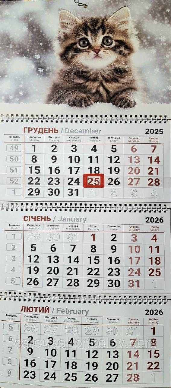 Календар на 2026 рік офісний Кошеня, фото 1