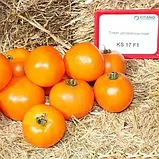 Томат Нуксі F1 KS-17 Kitano seeds 500 нас, фото 2