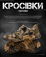 Міські мілітарі кросівки FAUST XY ДЛ7194, фото 3