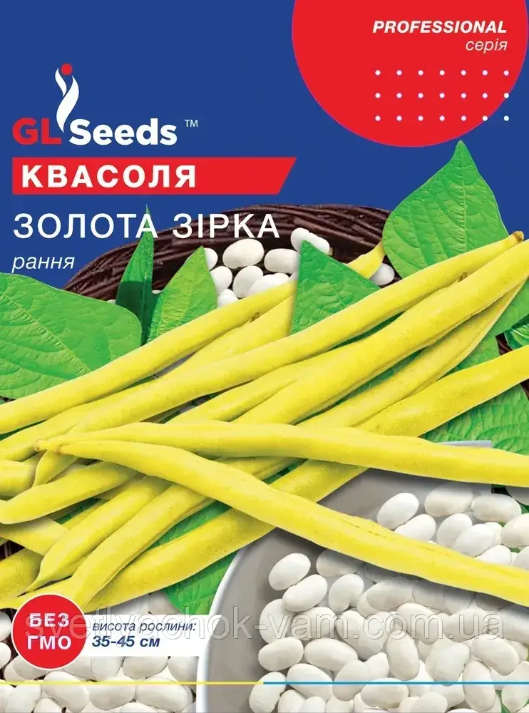 Квасоля Золота Зірка кущовий сорт зерновий ранньостиглий урожайний з вмістом білка до 25%, упаковка 15 г