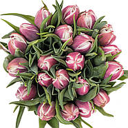 Valeska (3шт), фото 2