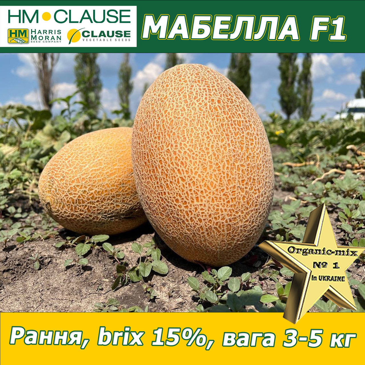 Диня МАБЕЛЛА (CLX MAQ 09) F1, HM. Clause (Франція), 1000 насінин, фото 1