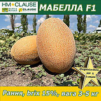 Диня МАБЕЛЛА (CLX MAQ 09) F1, HM. Clause (Франція), 1000 насінин