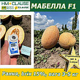 Диня МАБЕЛЛА (CLX MAQ 09) F1, HM. Clause (Франція), 1000 насінин, фото 2