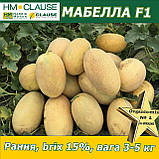 Диня МАБЕЛЛА (CLX MAQ 09) F1, HM. Clause (Франція), 1000 насінин, фото 3