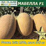 Диня МАБЕЛЛА (CLX MAQ 09) F1, HM. Clause (Франція), 1000 насінин, фото 4