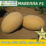 Диня МАБЕЛЛА (CLX MAQ 09) F1, HM. Clause (Франція), 1000 насінин, фото 6