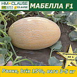 Диня МАБЕЛЛА (CLX MAQ 09) F1, HM. Clause (Франція), 1000 насінин, фото 7