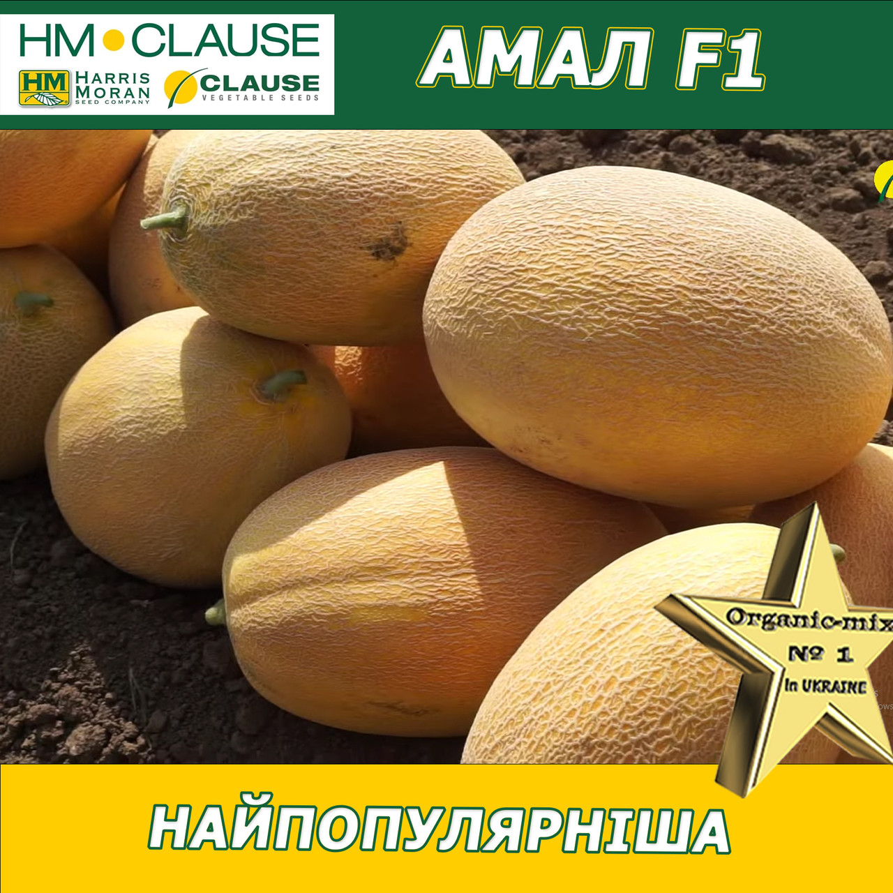 Диня Амал F1, HM. Clause (Франція), фото 1