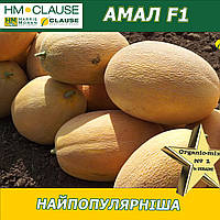 Диня Амал F1, HM. Clause (Франція)