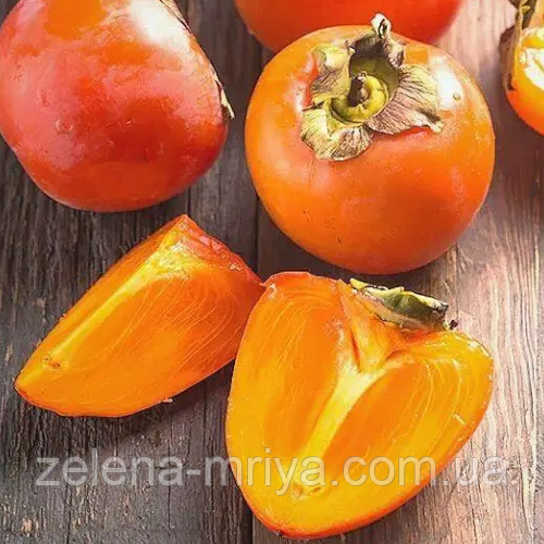 Хурма Голден Квін(Високоврожайний, самоплідний сорт), фото 1