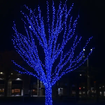 Гірлянда Нитка вулична 30 (м) 300 LED чорний провід Синій CF300L30MBBL