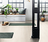 Ламінат Egger Classic Aqua, Дуб Тревізо Білий, EL2180