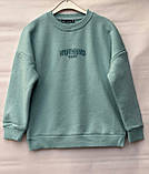 Чорний теплий реглан на хлопчиків 134,140,146,152 зросту Blueland Туреччина, фото 3