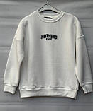 Чорний теплий реглан на хлопчиків 134,140,146,152 зросту Blueland Туреччина, фото 4