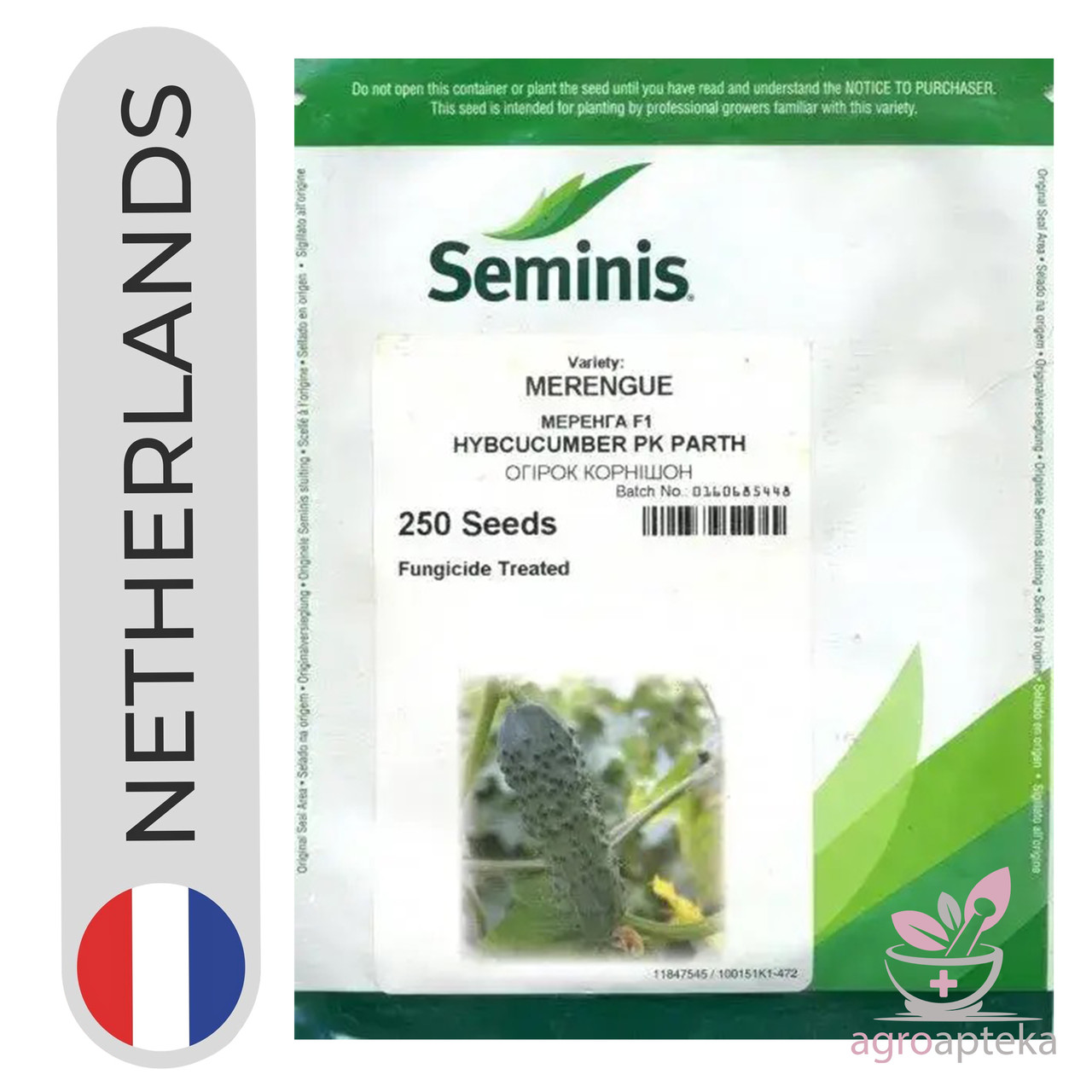 Огірок Меренга F1 250 нас SEMINIS, фото 1