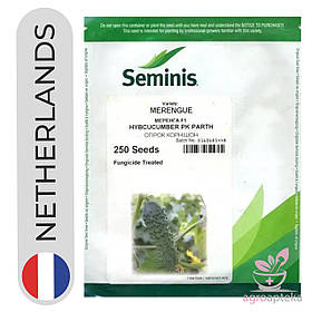 Огірок Меренга F1 250 нас SEMINIS