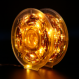 Гірлянда Роса 100 м/1000 High-Brightness LED, IP44, тепле світло, USB + пульт, фото 2
