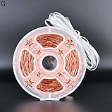 Гірлянда Роса 100 м/1000 High-Brightness LED, IP44, тепле світло, USB + пульт, фото 6