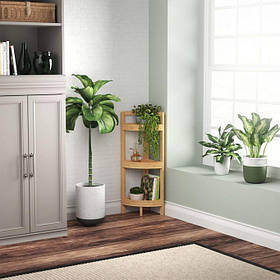 Кухонные полки