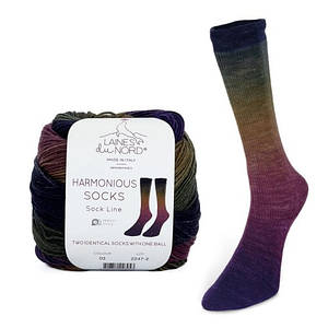 Шкарпеткова пряжа серія Harmonius Socks