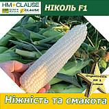 Біла цукрова кукурудза Ніколь F1, HM. Clause (Франція), 5000 насінин, фото 2
