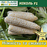 Біла цукрова кукурудза Ніколь F1, HM. Clause (Франція), 5000 насінин, фото 3