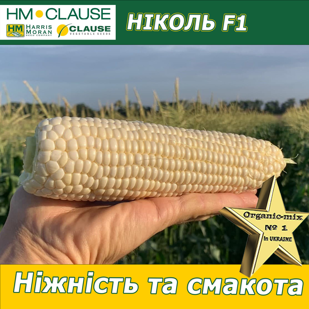 Біла цукрова кукурудза Ніколь F1, HM. Clause (Франція), 5000 насінин, фото 1