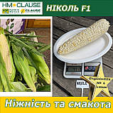 Біла цукрова кукурудза Ніколь F1, HM. Clause (Франція), 5000 насінин, фото 4